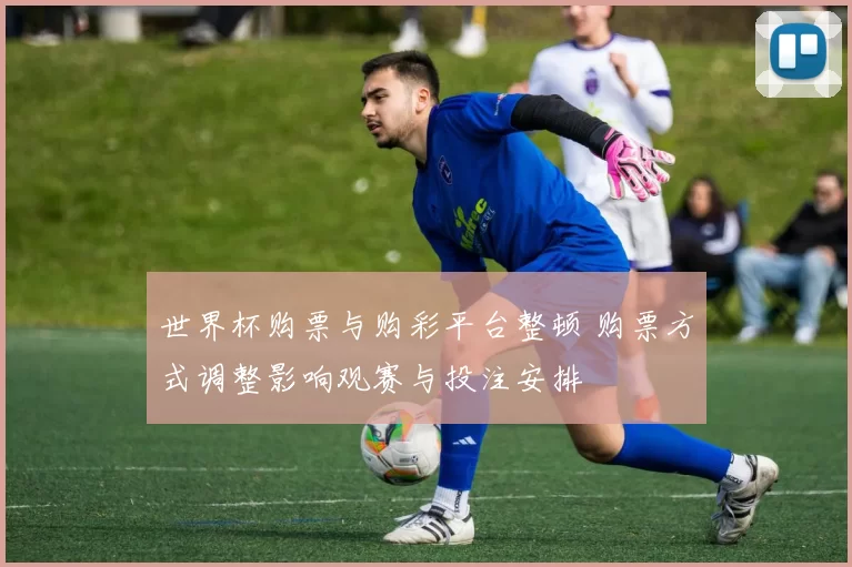 世界杯购票与购彩平台整顿 购票方式调整影响观赛与投注安排