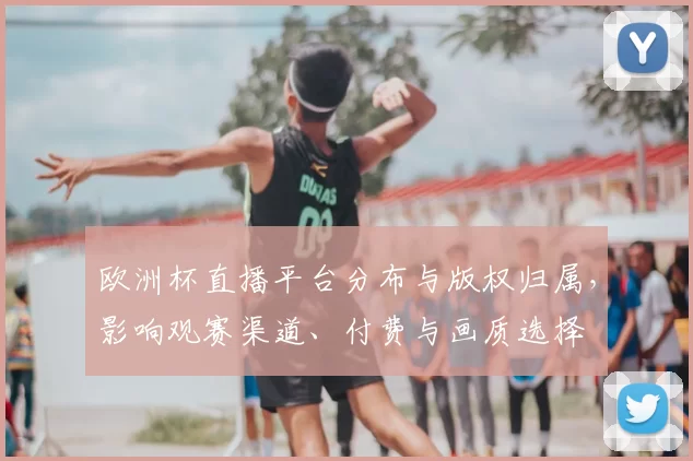 欧洲杯直播平台分布与版权归属，影响观赛渠道、付费与画质选择