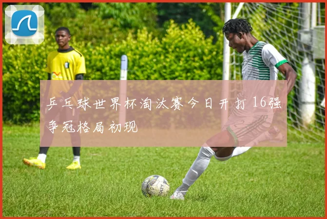 乒乓球世界杯淘汰赛今日开打 16强争冠格局初现